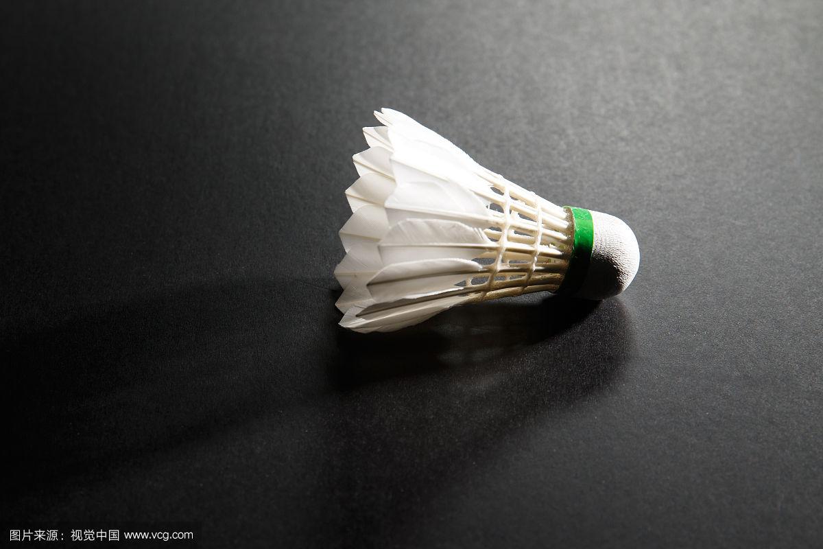 仔的表现 仔的表现