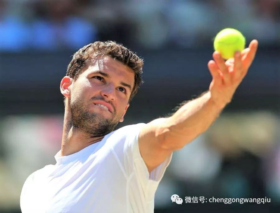 这样全面的 这样全面的